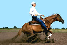 Magic without bridle