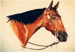 Year End Award for the ACHA High Point Cutting Horse commissioned by the Arizona Cutting Horse Association.