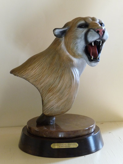 Mountain Lion - Territorial Dispute