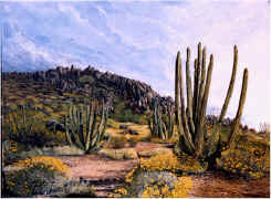 organ pipe.jpg (65247 bytes)